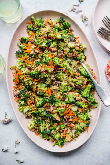 Vegan Broccoli Salad with Tahini Mayo Dressing - Crowded Kitchen